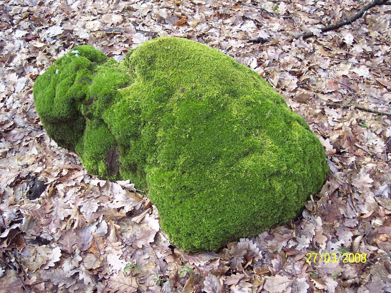 Snímek 022.jpg